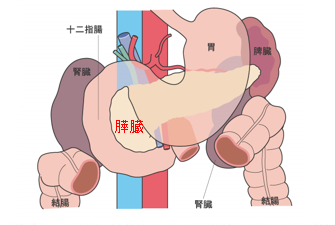 膵臓がん